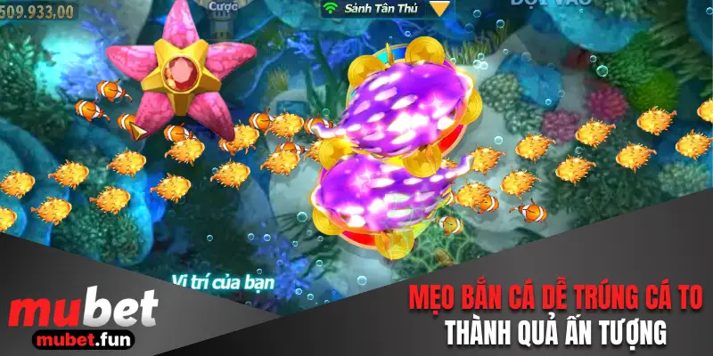 Mẹo bắn cá dễ trúng cá to